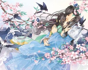 深入了解 葫芦娃App下载